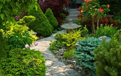 6 Methods for Improving Curb Appeal