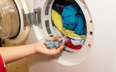 Learn About Home Appliance Lifespans