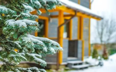 Winter Home Improvement: 6 Essential Tips for a Cozier Home