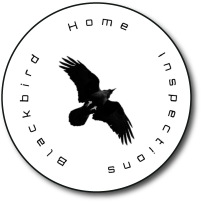 Blackbird Home Inspections