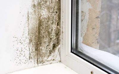 8 Ways to Prevent Mold Growth in the Home