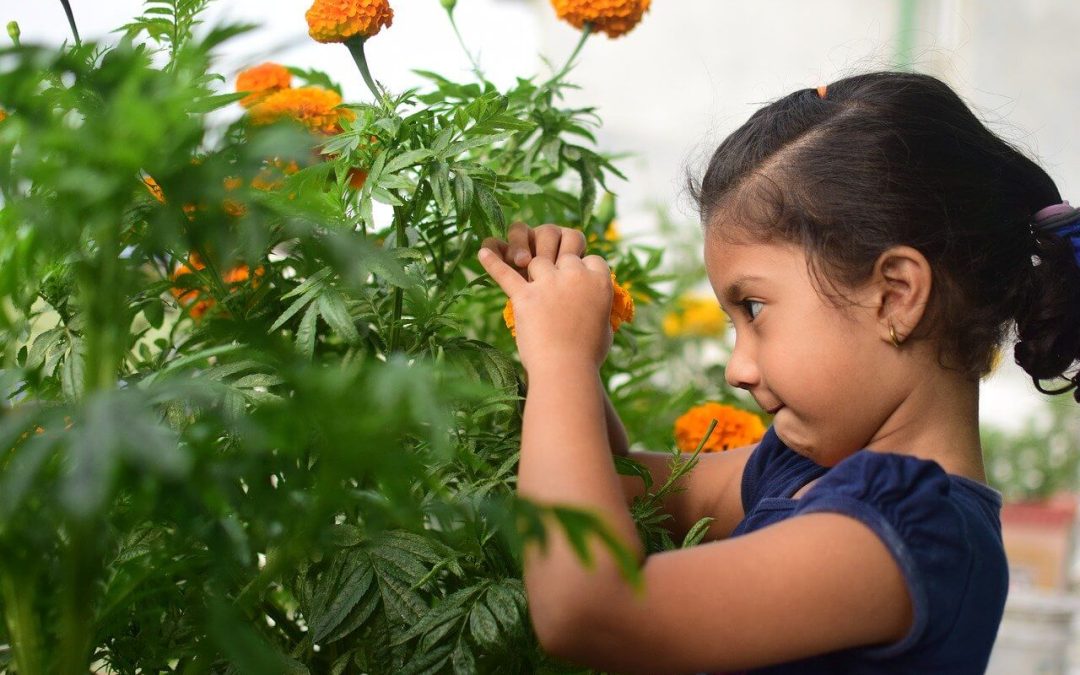 7 Tips for Gardening with Children