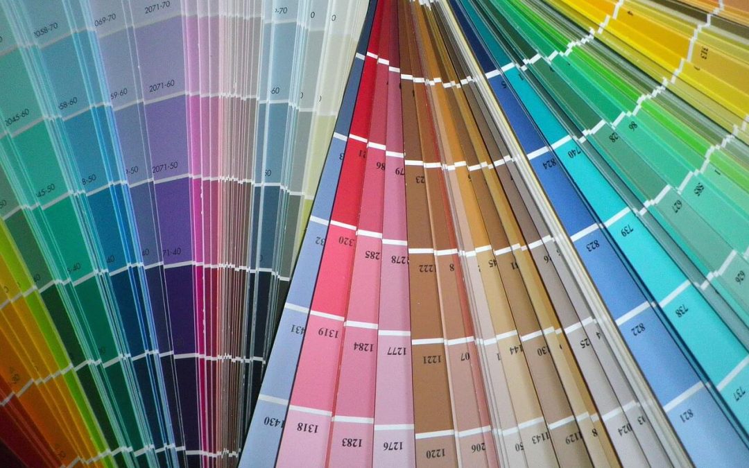 choose paint colors