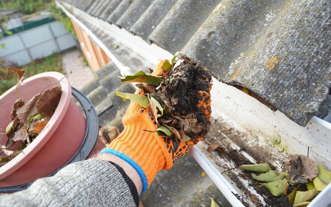 clean your gutters